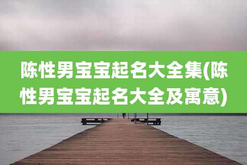 陈性男宝宝起名大全集(陈性男宝宝起名大全及寓意)