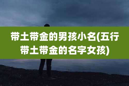 带土带金的男孩小名(五行带土带金的名字女孩)