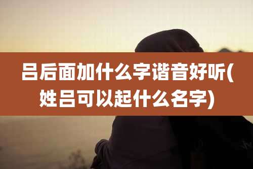 吕后面加什么字谐音好听(姓吕可以起什么名字)