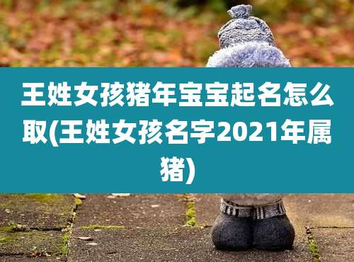 王姓女孩猪年宝宝起名怎么取(王姓女孩名字2021年属猪)