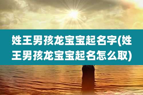 姓王男孩龙宝宝起名字(姓王男孩龙宝宝起名怎么取)