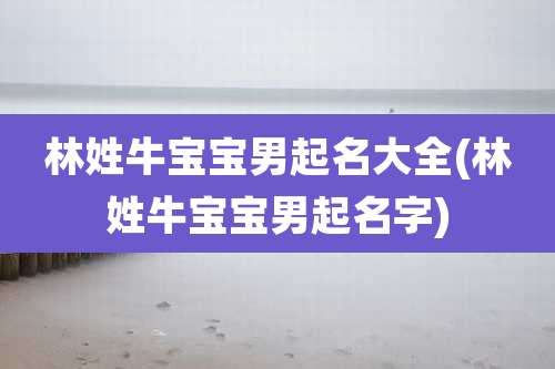 林姓牛宝宝男起名大全(林姓牛宝宝男起名字)
