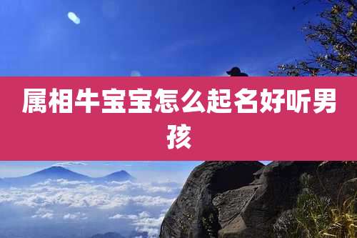 属相牛宝宝怎么起名好听男孩