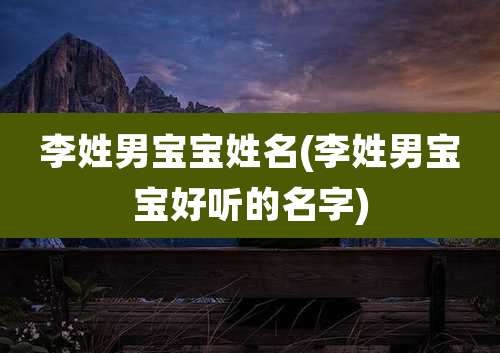 李姓男宝宝姓名(李姓男宝宝好听的名字)