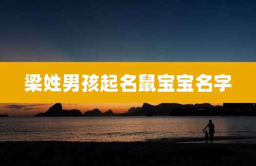 梁姓男孩起名鼠宝宝名字