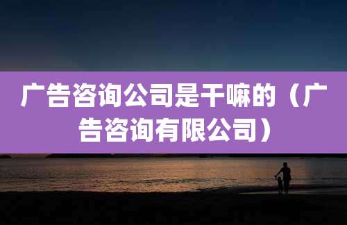 广告咨询公司是干嘛的(广告咨询有限公司)