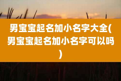 男宝宝起名加小名字大全(男宝宝起名加小名字可以吗)