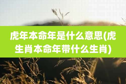 虎年本命年是什么意思(虎生肖本命年带什么生肖)