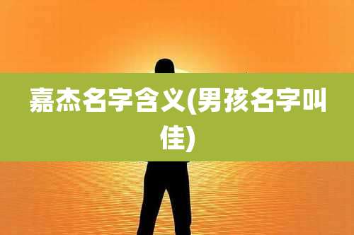 嘉杰名字含义(男孩名字叫佳)