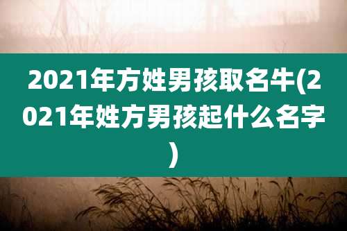 2021年方姓男孩取名牛(2021年姓方男孩起什么名字)