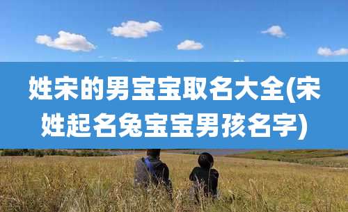 姓宋的男宝宝取名大全(宋姓起名兔宝宝男孩名字)