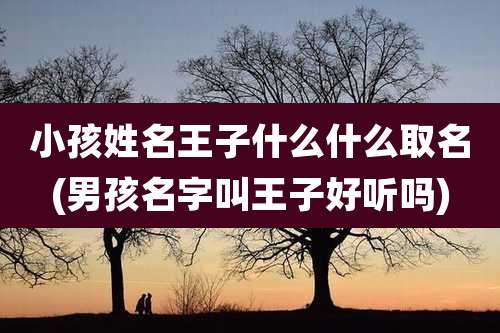 小孩姓名王子什么什么取名(男孩名字叫王子好听吗)