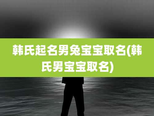 韩氏起名男兔宝宝取名(韩氏男宝宝取名)