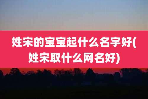 姓宋的宝宝起什么名字好(姓宋取什么网名好)