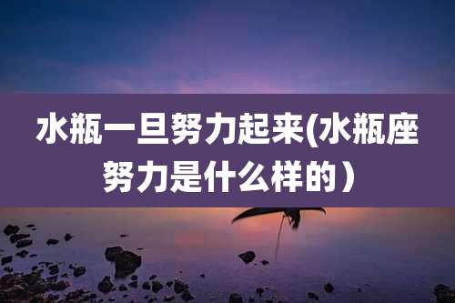 水瓶一旦努力起来(水瓶座努力是什么样的)
