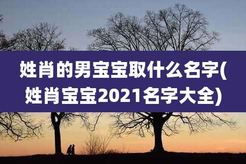 姓肖的男宝宝取什么名字(姓肖宝宝2021名字大全)
