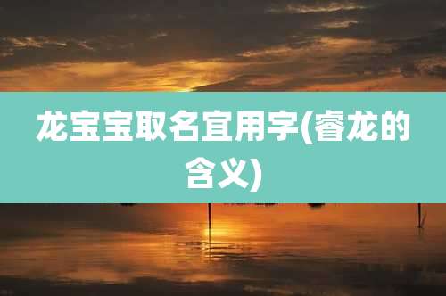 龙宝宝取名宜用字(睿龙的含义)
