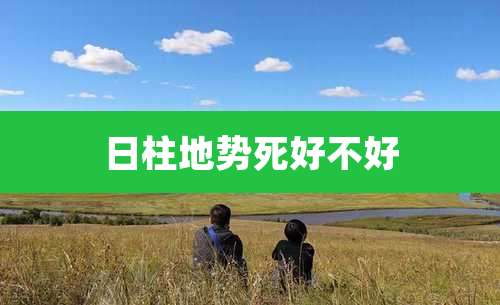 日柱地势死好不好