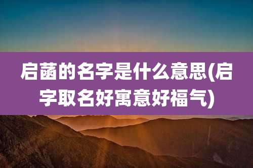 启菡的名字是什么意思(启字取名好寓意好福气)