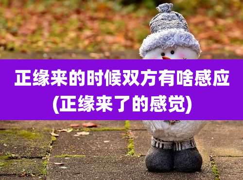 正缘来的时候双方有啥感应(正缘来了的感觉)