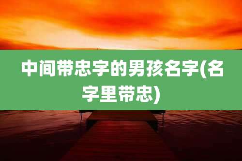 中间带忠字的男孩名字(名字里带忠)