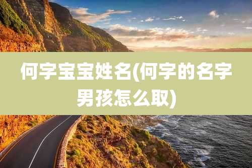 何字宝宝姓名(何字的名字男孩怎么取)