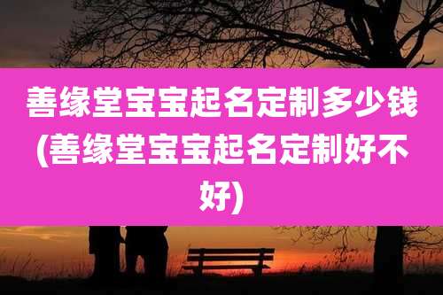 善缘堂宝宝起名定制多少钱(善缘堂宝宝起名定制好不好)