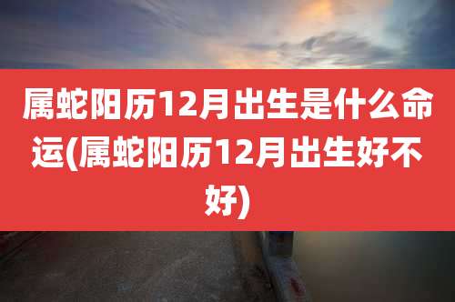 属蛇阳历12月出生是什么命运(属蛇阳历12月出生好不好)