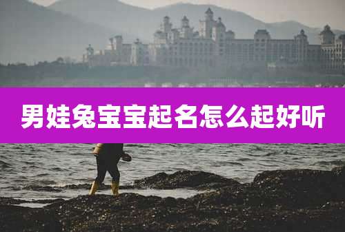 男娃兔宝宝起名怎么起好听