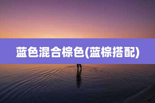 蓝色混合棕色(蓝棕搭配)