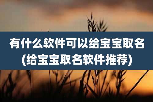 有什么软件可以给宝宝取名(给宝宝取名软件推荐)