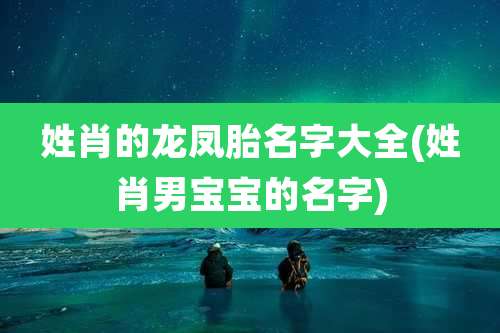 姓肖的龙凤胎名字大全(姓肖男宝宝的名字)