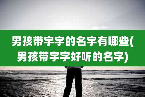 男孩带宇字的名字有哪些(男孩带宇字好听的名字)