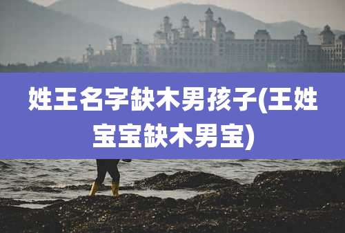 姓王名字缺木男孩子(王姓宝宝缺木男宝)