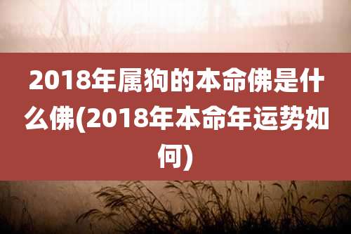 2018年属狗的本命佛是什么佛(2018年本命年运势如何)