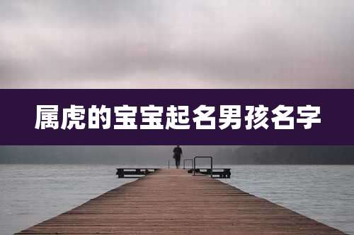 属虎的宝宝起名男孩名字