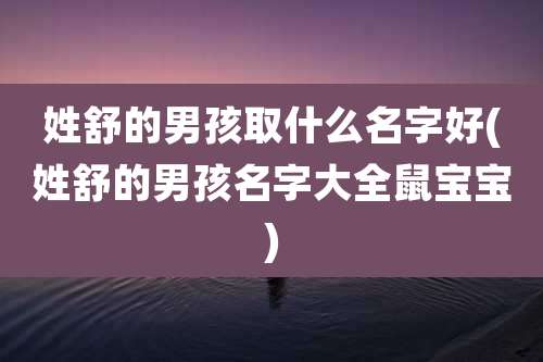 姓舒的男孩取什么名字好(姓舒的男孩名字大全鼠宝宝)