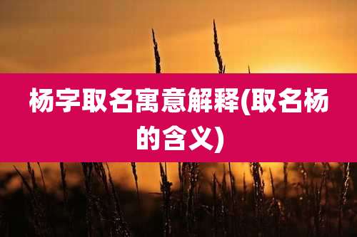 杨字取名寓意解释(取名杨的含义)