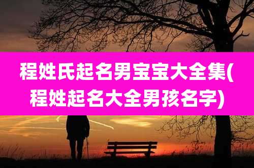 程姓氏起名男宝宝大全集(程姓起名大全男孩名字)