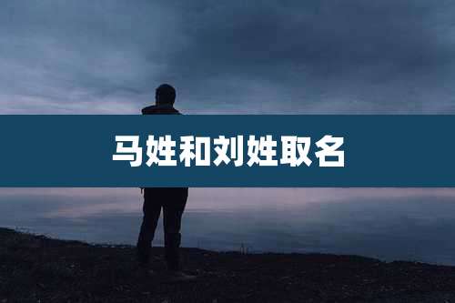 马姓和刘姓取名