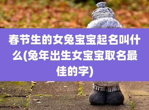 春节生的女兔宝宝起名叫什么(兔年出生女宝宝取名最佳的字)