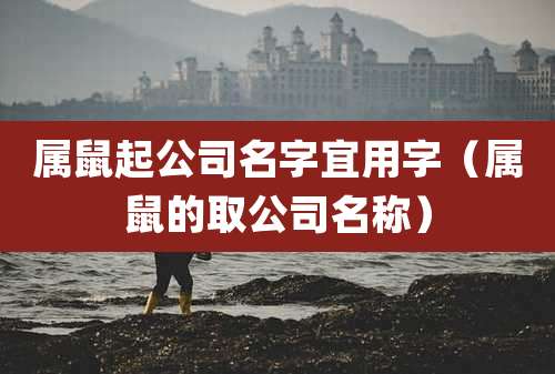 属鼠起公司名字宜用字（属鼠的取公司名称）