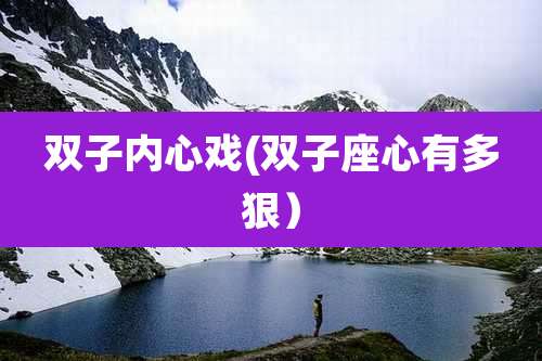 双子内心戏(双子座心有多狠)