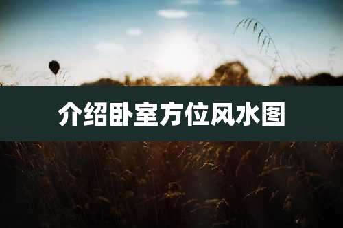 介绍卧室方位风水图