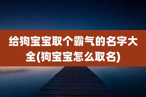 给狗宝宝取个霸气的名字大全(狗宝宝怎么取名)