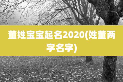 董姓宝宝起名2020(姓董两字名字)