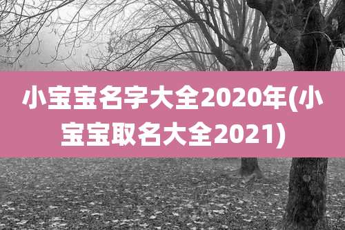小宝宝名字大全2020年(小宝宝取名大全2021)