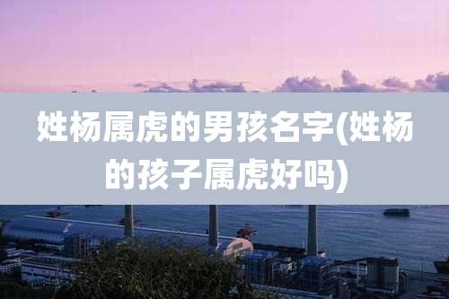 姓杨属虎的男孩名字(姓杨的孩子属虎好吗)