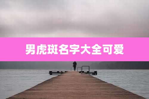 男虎斑名字大全可爱