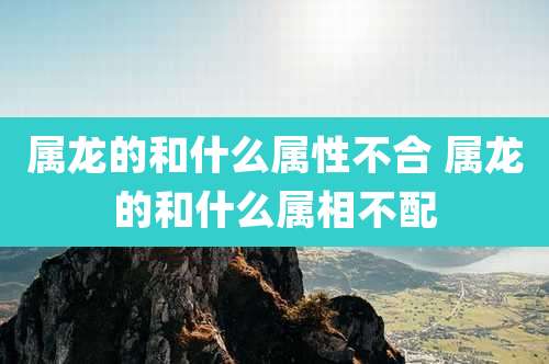 属龙的和什么属性不合 属龙的和什么属相不配